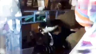 校园霸凌全国校园霸凌偷拍合集