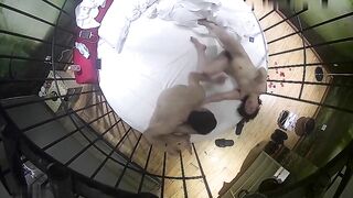 酒店偷拍360上帝风扇