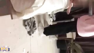 校园霸凌安徽最新校园霸凌当众凌辱