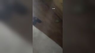 全网独家百人斩约炮两个00后靓妹被干的啊啊狂叫奶子狂晃