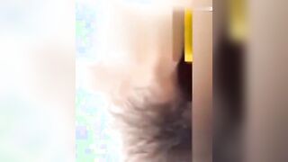 8分钟泳池啪啪视频