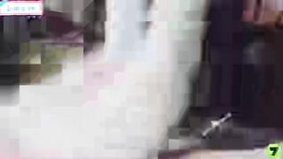 姐弟乱伦。